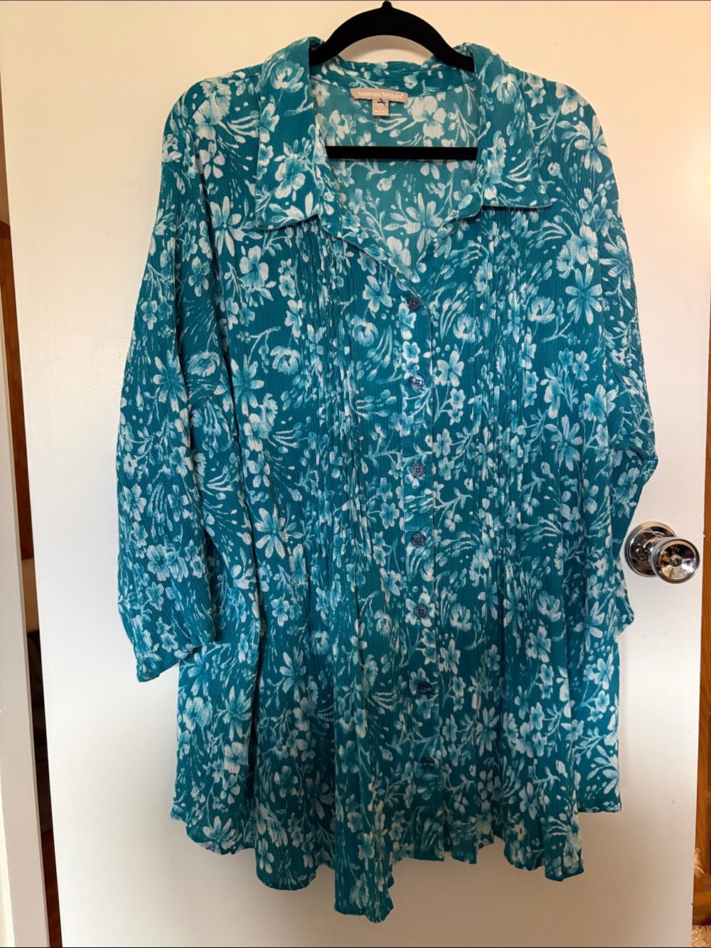 Pretty Woman Within teal blouse
